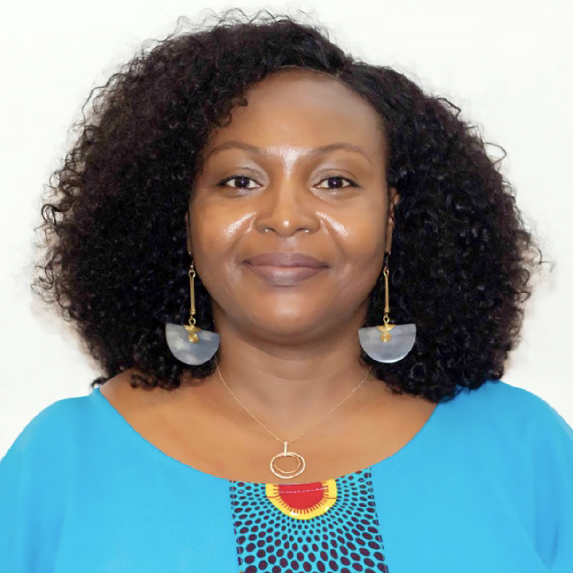 Nana Afadzinu, Executive Director, West Africa Civil Society Institute